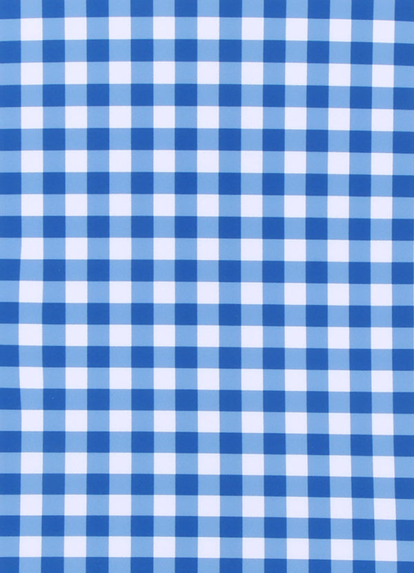 Gingham One Piece - Blue Lottie